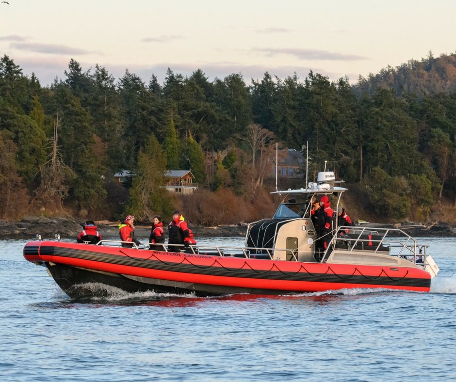 Boat Charters San Juan Islands Western Prince Whale Watching