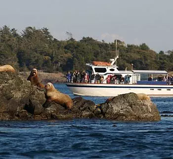

						
				    	Boats Gallery
				    
				    
				    	- Photo by Whale Watching San Juan Islands