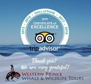 Most Excellent! It’s our 5th year in a row earning TripAdvisor’s Certificate of Excellence!