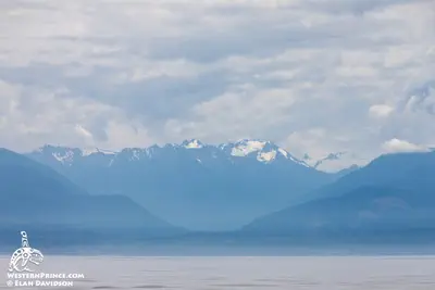 The Olympic Mountains