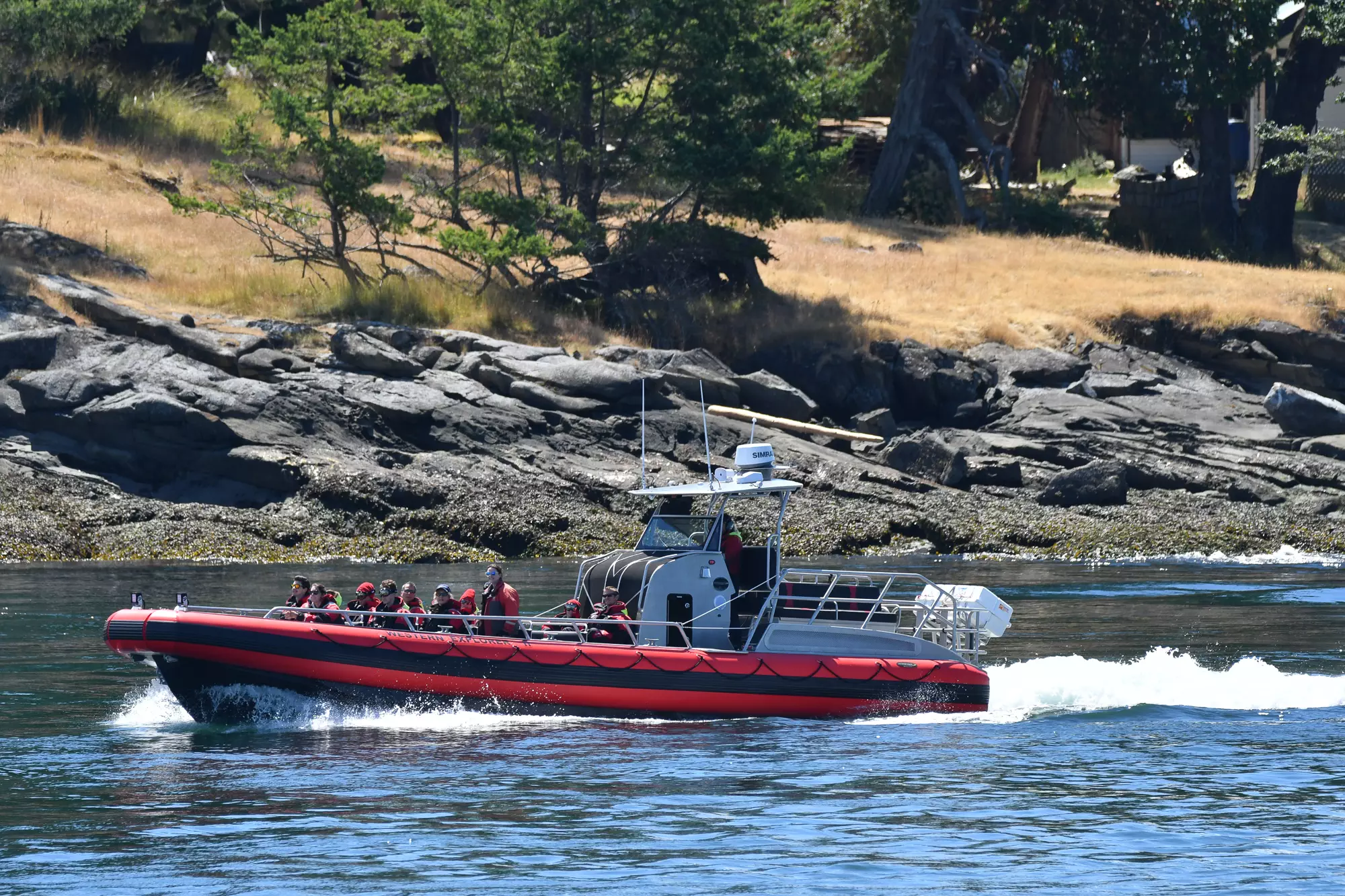 Adventure Whale Watching in the San Juan Islands | Western Explorer II