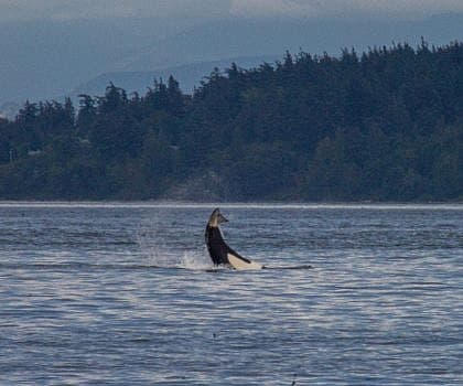 Orcas Island Circumnavigation