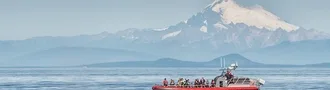Daily Tours, Depart From Friday Harbor!