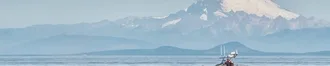 Daily Tours, Depart From Friday Harbor!