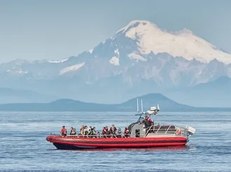 San Juan Islands Whale Watching