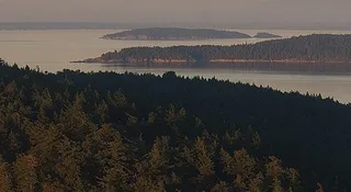 Seattle Whale Watching Flight Package