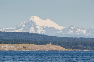 San Juan Islands Whale Watching