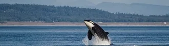 Conservation, We Donate 5% Of All Profit!
