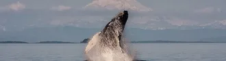Unforgettable, Experience In Nature!