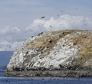 

						
				    	Fantastic encounter with Bigg’s Killer whales! The T2Cs!
				    
				    
				    	- Photo by <strong