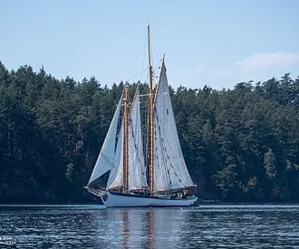 Whale Report: July 28, 2023 – Sunshine and Zephyr