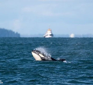 First trip of the Season!