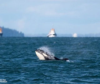 First trip of the Season!