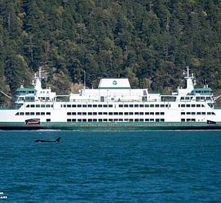Whales and Ferries