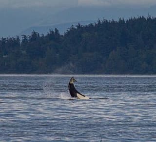 Orcas Island Circumnavigation