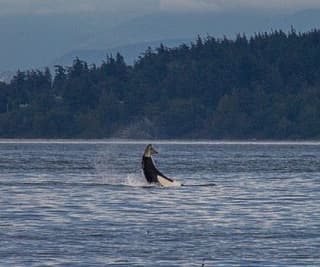 Orcas Island Circumnavigation